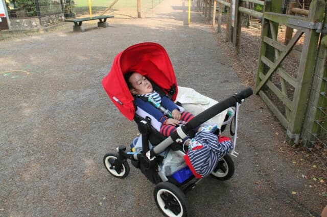 where to buy doona stroller